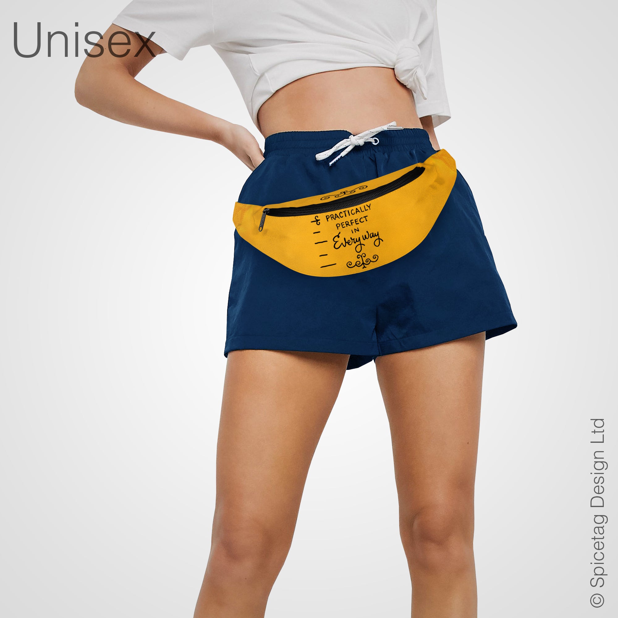 Practically Perfect Bumbag