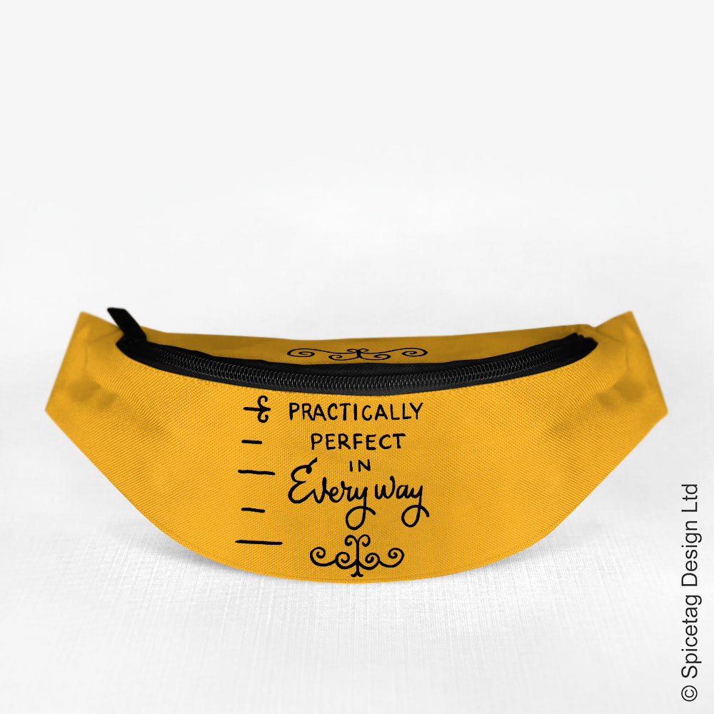 Practically Perfect Bumbag