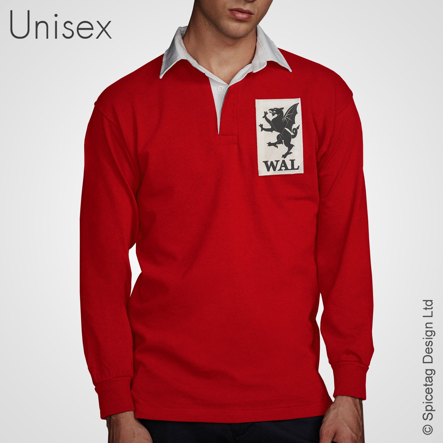 Wales Jersey With Patch