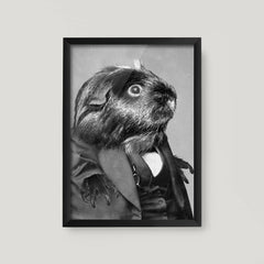 Guinea Pig A3 Print Set