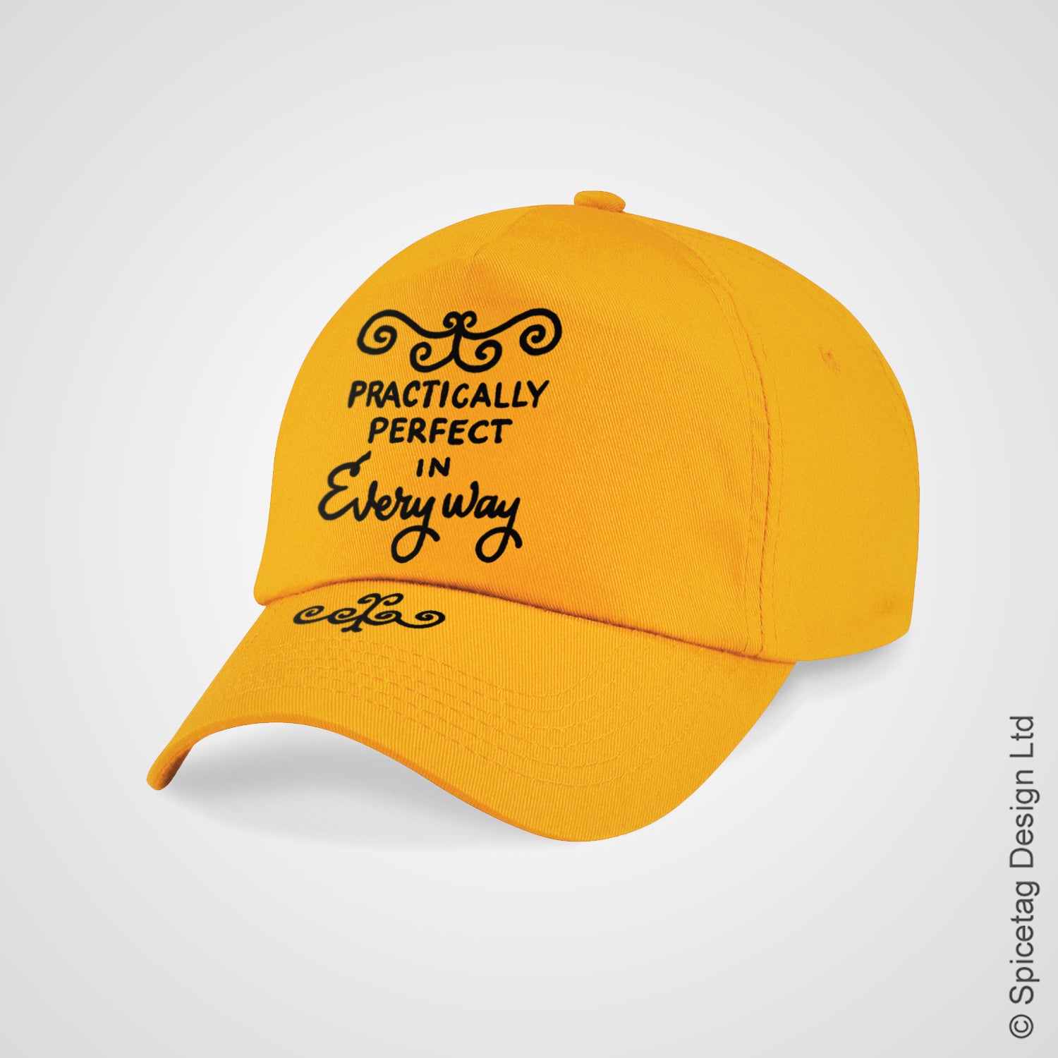 Practically Perfect Cap