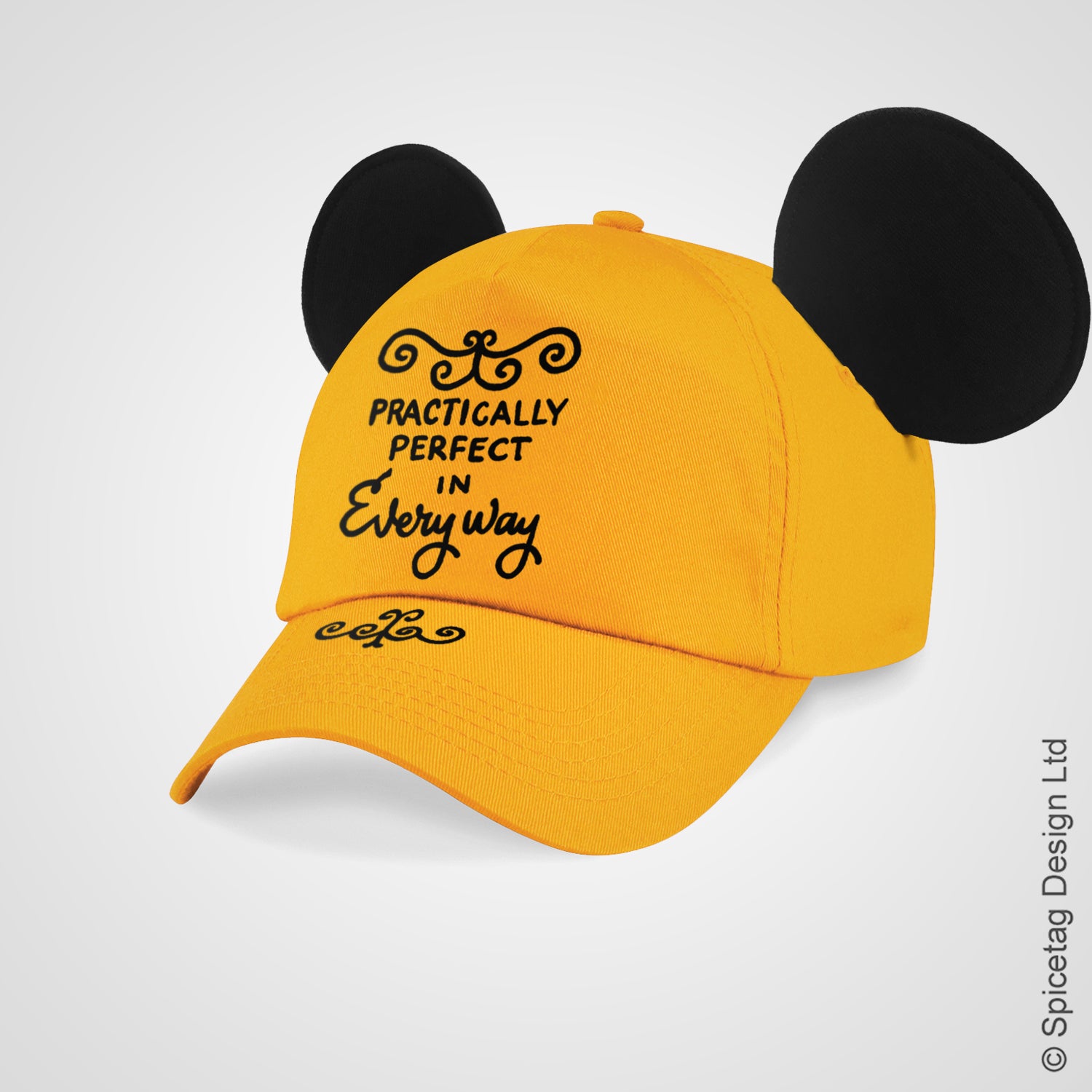 Practically Perfect Cap