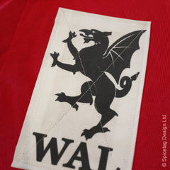 Wales Jersey With Patch